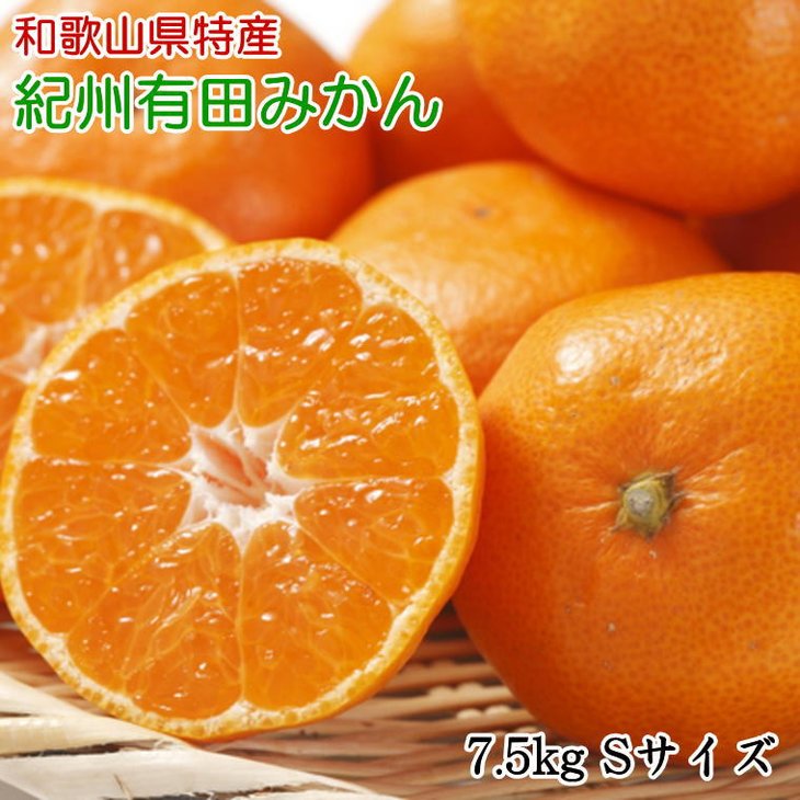 楽天ランキング1位 厳選 紀州有田みかん 7 5kg Sサイズ 赤秀 和歌山県湯浅町 楽天1位 Barguna Police Gov