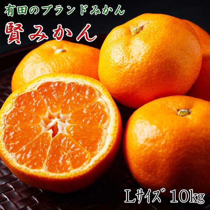 【ふるさと納税】【2025年先行予約】 賢みかん 10kg Lサイズ 有田ブランド 秀品 ブランドみかん 温州みかん 有田みかん 濃厚 甘い 酸味 柑橘 フルーツ 果実 果物 食品 デザート 和歌山県 湯浅町 有田川町 送料無料