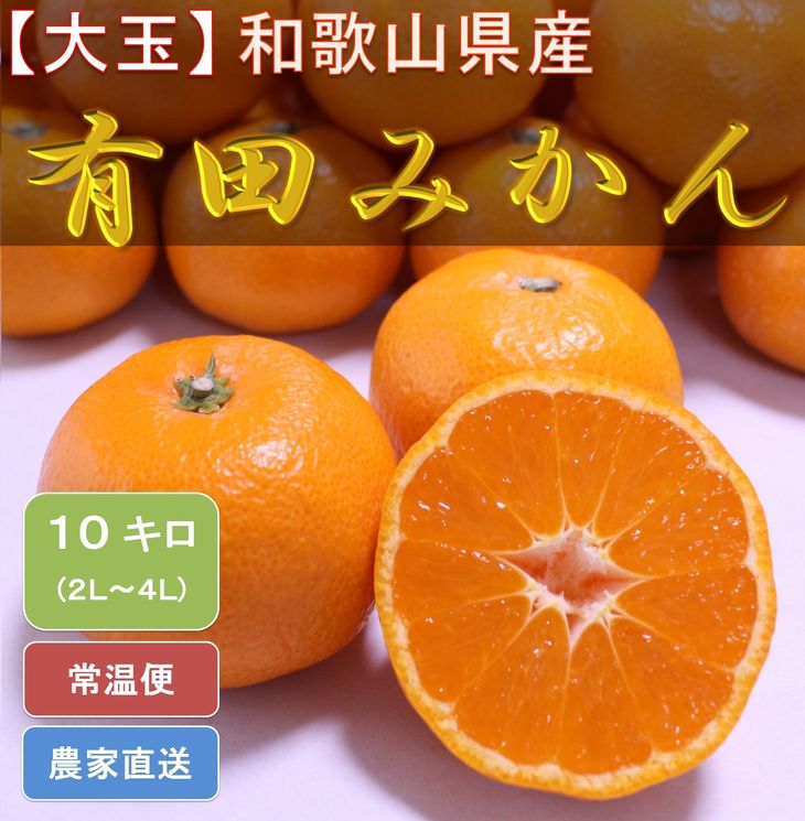 市場 ふるさと納税 農園直送 濃厚有田みかん