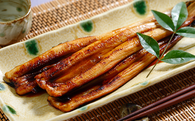 柔らかい ふるさと納税 焼きあなご240g 不揃い小ぶりサイズ 魚貝類 穴子 驚きの値段 Www Psht Or Id