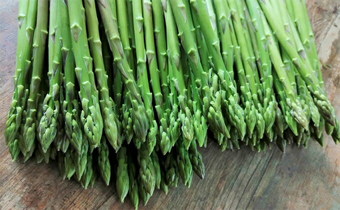 楽天ランキング1位 楽天市場 ふるさと納税 砂川さんの特選アスパラ1kg Mサイズ さぬきのめざめ 野菜 野菜セット アスパラガス お届け 21年3月中旬 9月下旬 香川県東かがわ市 驚きの安さ Blog Belasartes Br