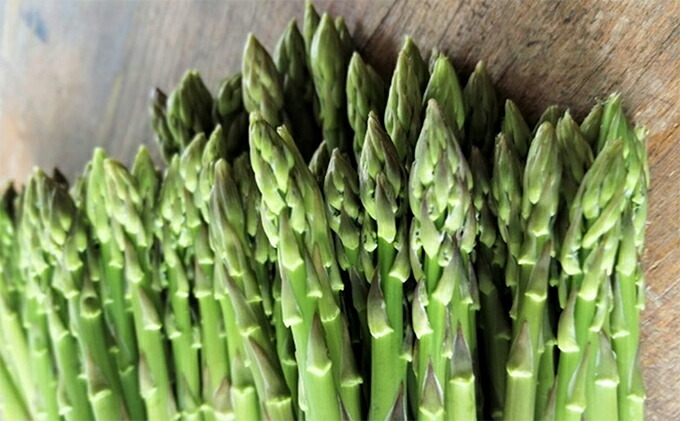 楽天ランキング1位 楽天市場 ふるさと納税 砂川さんの特選アスパラ1kg Mサイズ さぬきのめざめ 野菜 野菜セット アスパラガス お届け 21年3月中旬 9月下旬 香川県東かがわ市 驚きの安さ Blog Belasartes Br