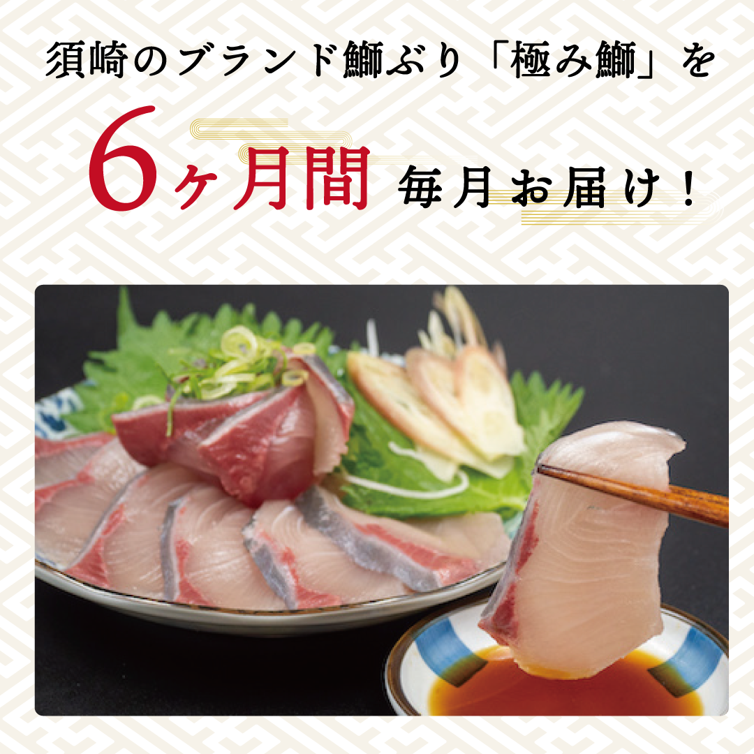 ポイント10倍 定期便 半年毎月 極み鰤 6ヶ月 産地直送 鮮魚 切り身 お刺身 極みブリ ぶり フィーレ 鰤 しゃぶしゃぶ 照り焼き お中元 毎月届く ブランド鰤 高知県須崎市 新発 Vancouverfamilymagazine Com