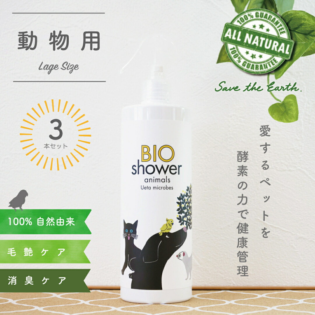 アウトドア 特集