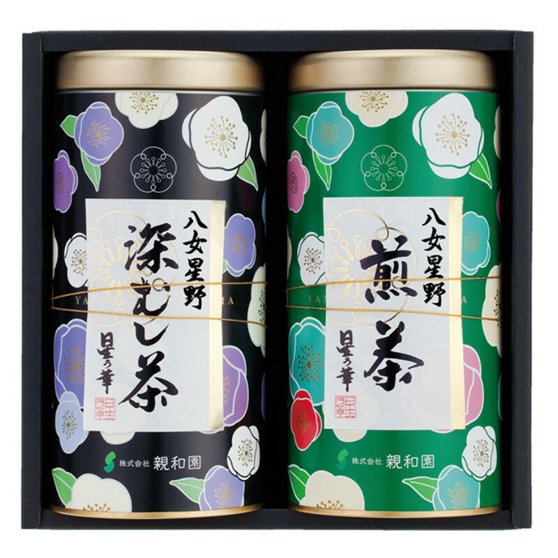 【ふるさと納税】八女星野茶 星乃紫苑 煎茶100g×1 深蒸茶100g×1【A5-269】|福岡県飯塚市