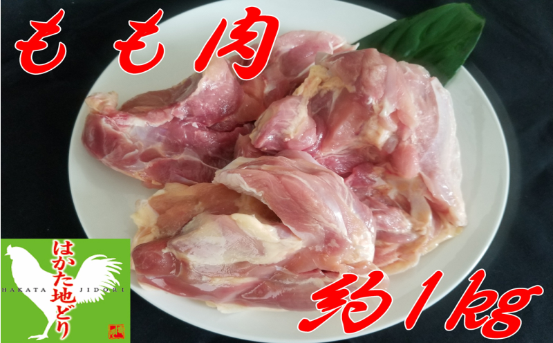 【ふるさと納税】はかた地どり もも肉 (約1kg)【A5-263】