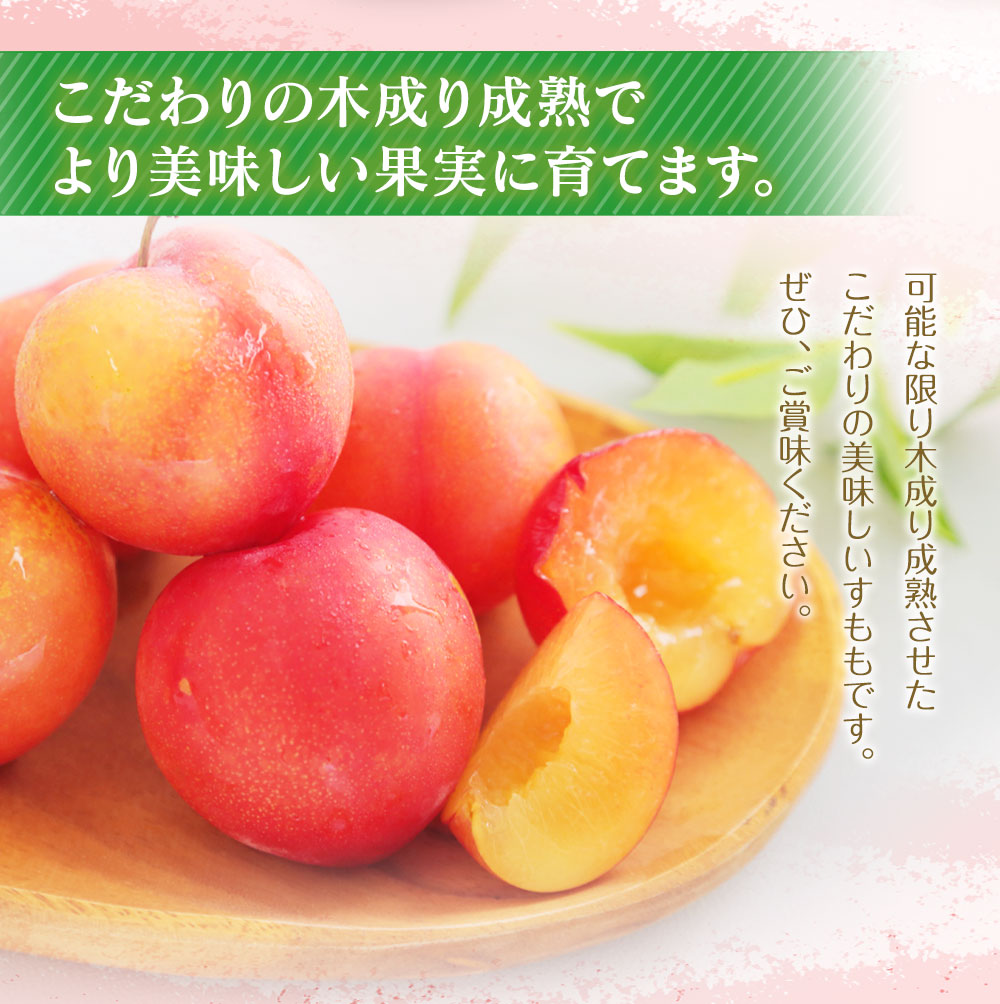 すもも 350g 4 4パック ふるさと納税 1 4kg 果物 その他 スモモ 送料無料 合計1400g 4パック くだもの フルーツ 冷蔵 福岡県産 送料無料 年6月より順次発送 福岡県古賀市ほど良い酸味と甘みがとても合う初夏の果実です 可能な限り木成り成熟させたこだわり すもも 350g 4 4パック ふるさと納税 1 4kg 果物 その他 スモモ 送料無料 合計1400g 4パック くだもの フルーツ 冷蔵 福岡県産 送料無料 年6月より順次発送 福岡県古賀市ほど良い酸味と甘みがとても合う初夏の果実です 可能な限り木成り成熟させたこだわり