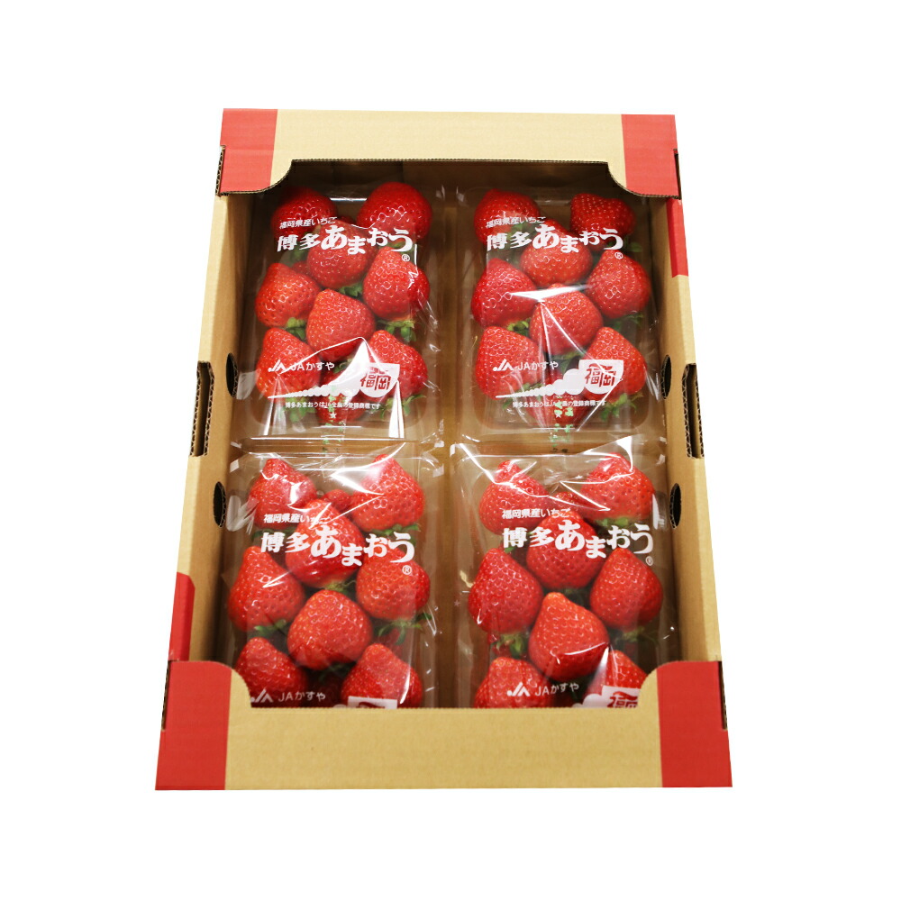 【楽天市場】【ふるさと納税】先行予約 あまおう 合計約1,120g 約280g×4パック 楽天ランキング1位獲得 福岡県産 九州 イチゴ