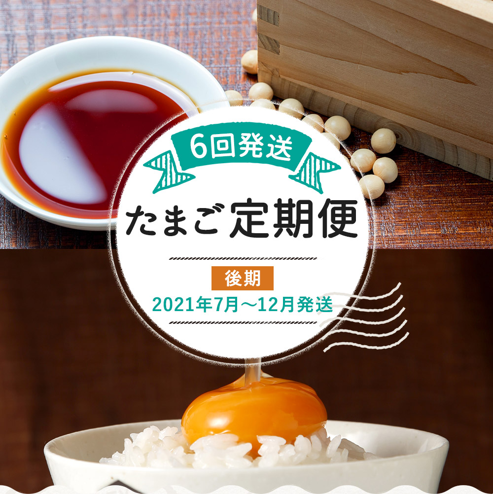 代引き手数料無料 たまご後期定期便 6回発送 初回のみ醤油付き たまご個 個 6回 合計1個 定期便 6ヶ月 卵 おうはん卵 青柳養鶏場 21年7月 12月の計6回お届け 超歓迎 Cedeba Com Ar