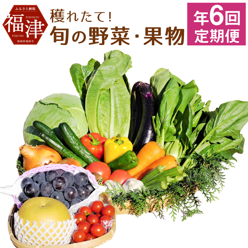 ふるさと納税 年6回定期便 穫れたて 旬の野菜 果物 定期便 冷蔵 あんずの里 計6回 10 12品目 6回 野菜 果物 フルーツ 旬 セット 詰め合わせ 福岡県産 九州産 国産 送料無料 C6260 農林水産大臣賞に輝く あんずの里市 の厳選品 直売所ならではの穫れたて旬の野菜 果物を