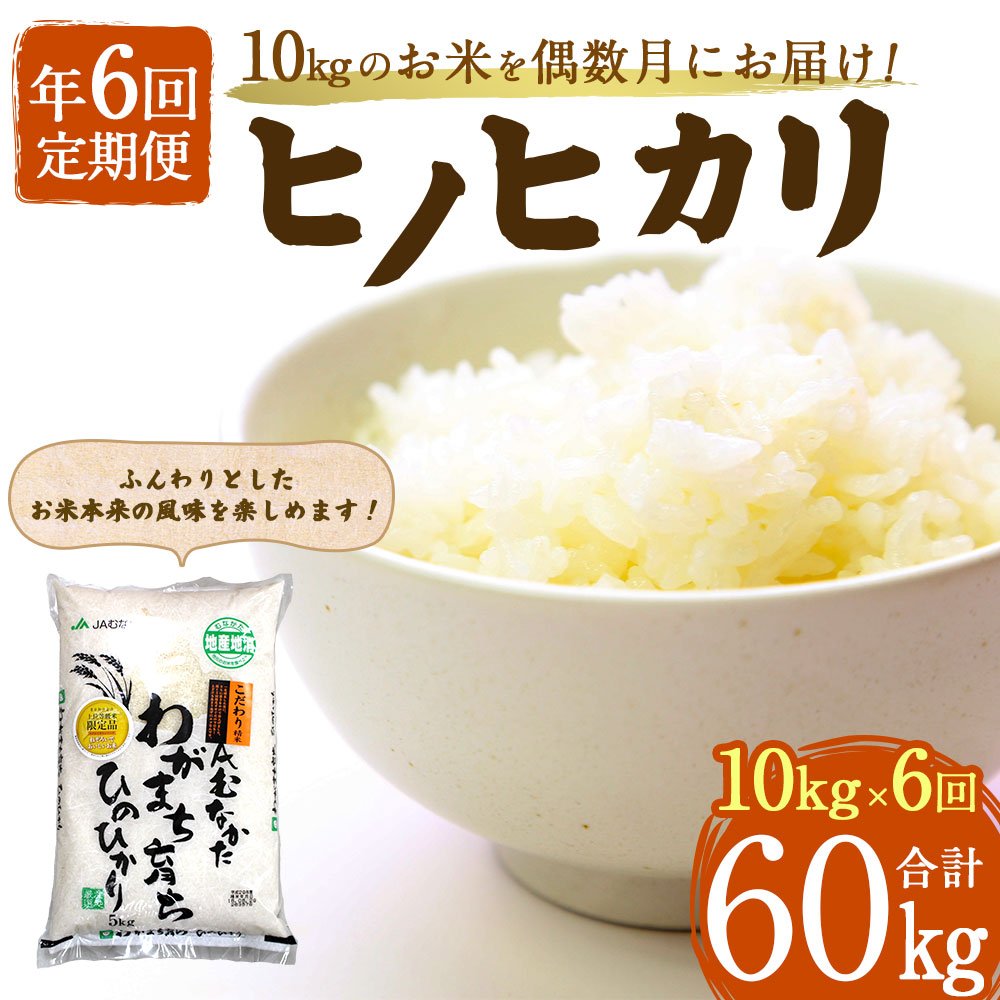 代引不可 楽天市場 ふるさと納税 お米定期便 偶数月6回 ヒノヒカリ 10kg 6回 合計60kg 定期便 お米 米 白米 精米 ひのひかり 福岡産 国産 送料無料 C5100 福岡県福津市 新品本物 Blog Belasartes Br