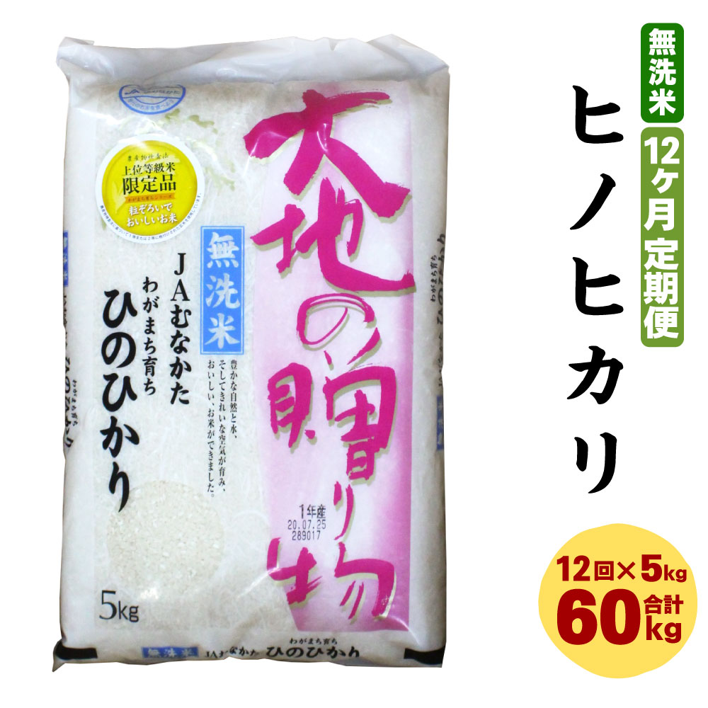 全品送料無料 12ヶ月毎月お届け 無洗米 ヒノヒカリ 5kg 12回 計60kg 令和2年産 定期便 ひのひかり 米 お米 白米 精米 国産 九州産 C5110 全品送料無料 Mutupelayanankesehatan Net