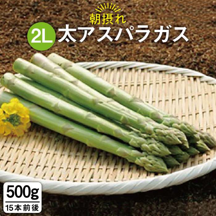 太い アスパラ Article 太い アスパラ Article