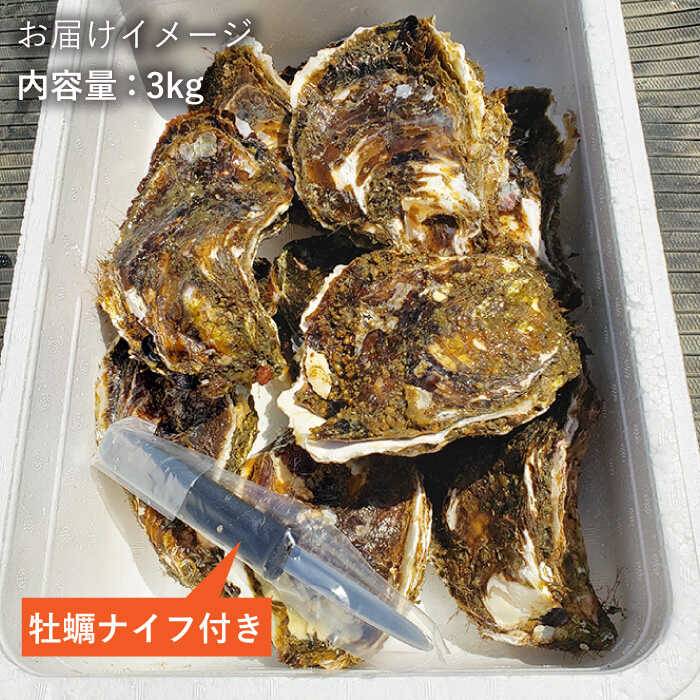 糸島ブランド ケンちゃんカキ の濃厚な海の幸 岩カキをお届け 糸島カキ Aoi001 福岡県糸島市 魚介類 水産加工品 ケンちゃんカキ 牡蠣 カキ 岩牡蠣 ふるさと納税 貝類 糸島カキ Aoi001 食品 岩牡蠣3kg 12 15個 糸島市 糸島ブランド ケンちゃんカキ の濃厚な海の幸 岩カキをお届け 糸島カキ Aoi001 福岡県糸島市 魚介類 水産加工品 ケンちゃんカキ 牡蠣 カキ 岩牡蠣 ふるさと納税 貝類 糸島カキ Aoi001 食品 岩牡蠣3kg 12 15個 糸島市