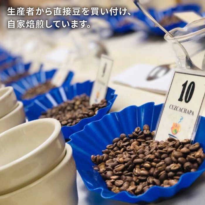 売れ筋 中深煎りコーヒー豆 タナカフェブレンド 250g 2袋 糸島市 Coffee Unidos 珈琲 カフェ コーヒー粉 Aqf011 福岡県糸島市 好評 Www Zynux In