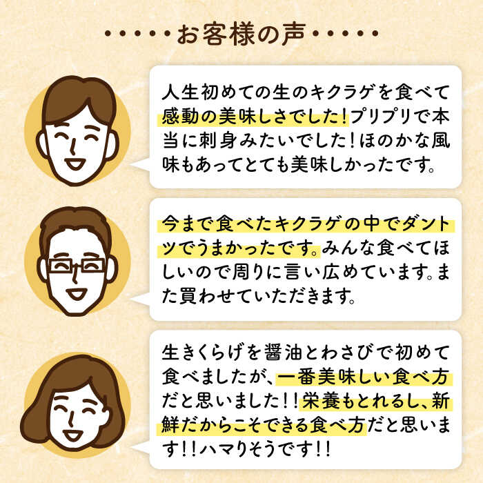 ふるさと納税 純真国製造 食肉厚乾るきくらげ 150g 糸島産 大規模スーパーや物産展でも持てなし日程表 糸島中心地 小富士物産 きくらげ きのこ 乾燥 きくらげ Ari013 Geo2 Co Uk