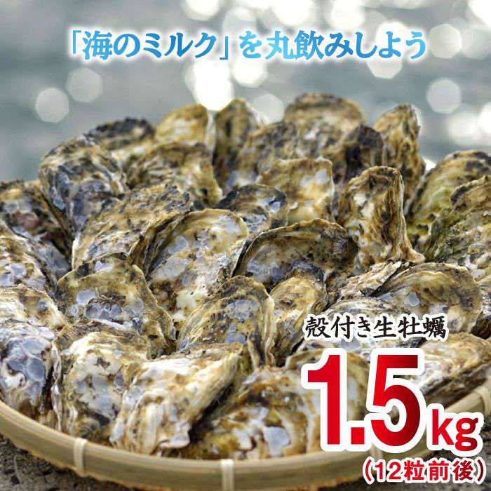 新色登場 ふるさと納税 福岡県糸島産 殻付き生牡蠣1 5kgと天然黒アワビ500g詰め合わせ 日進丸 Awa008 絶対的存在へ 手放せない極上 Allentownfencerepair Com