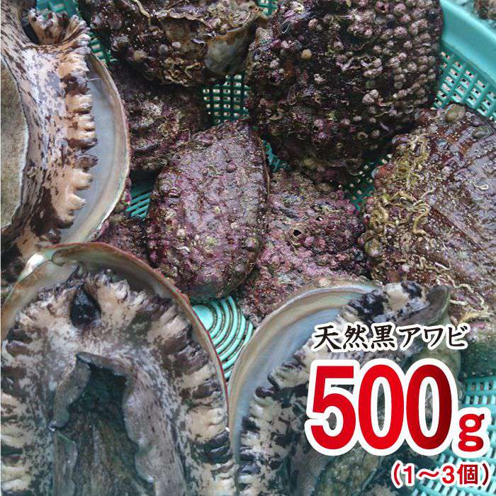 新色登場 ふるさと納税 福岡県糸島産 殻付き生牡蠣1 5kgと天然黒アワビ500g詰め合わせ 日進丸 Awa008 絶対的存在へ 手放せない極上 Allentownfencerepair Com