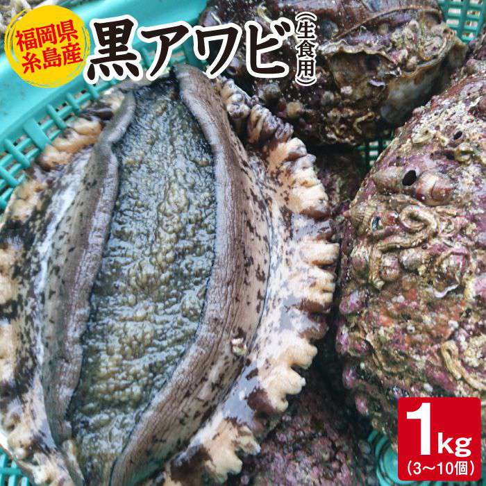 新着アワビ 生 最高の花の画像