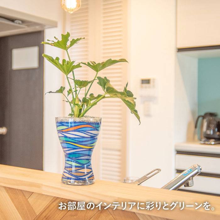 楽天市場 ふるさと納税 カラーサンド 観葉植物 Lサイズ ブルールーフ Blue Roof Lovelye 糸島市 部屋飾り 緑 インテリア 置物 Axf004 福岡県糸島市