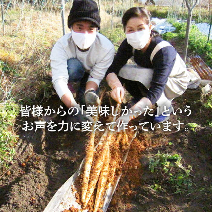 ふるさと納税 那珂川産自然薯使用 自然薯とろろ味くらべセット計9個 3種類 3個 自然薯王国 那珂川市 Gah003 Natboardmcqs Com