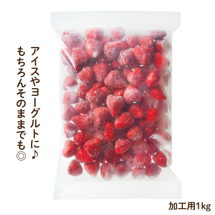 ふるさと納税 朦朦たるなこく 凍結いちご 博多あまおう 1kg やまや 那珂川京師 Gak019 Geo2 Co Uk