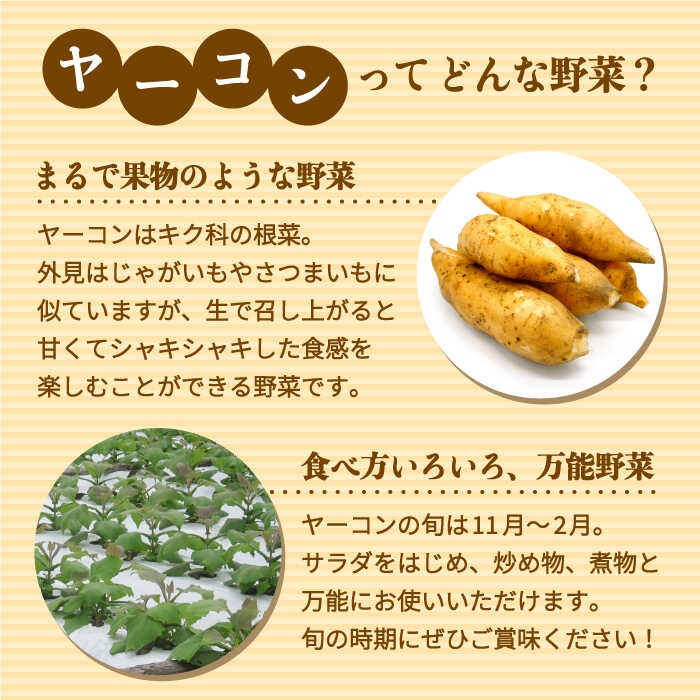 3kg 3月 10月末順次発送 グリーンフーズ 那珂川市 芋 根菜 Gal002 食品 冷凍ヤーコン芋 その他野菜 解凍後はすぐ使える 採れたての ヤーコンを おいしさそのままに真空パック ふるさと納税 冷凍ヤーコン芋 ふるさと納税 Gal002 福岡県那珂川市 3kg 3月 10月末順次発送 グリーンフーズ 那珂川市 芋 根菜 Gal002 食品 冷凍ヤーコン芋 その他野菜 解凍後はすぐ使える 採れたての ヤーコンを おいしさそのままに真空パック ふるさと納税 冷凍ヤーコン芋 ふるさと納税 Gal002 福岡県那珂川市