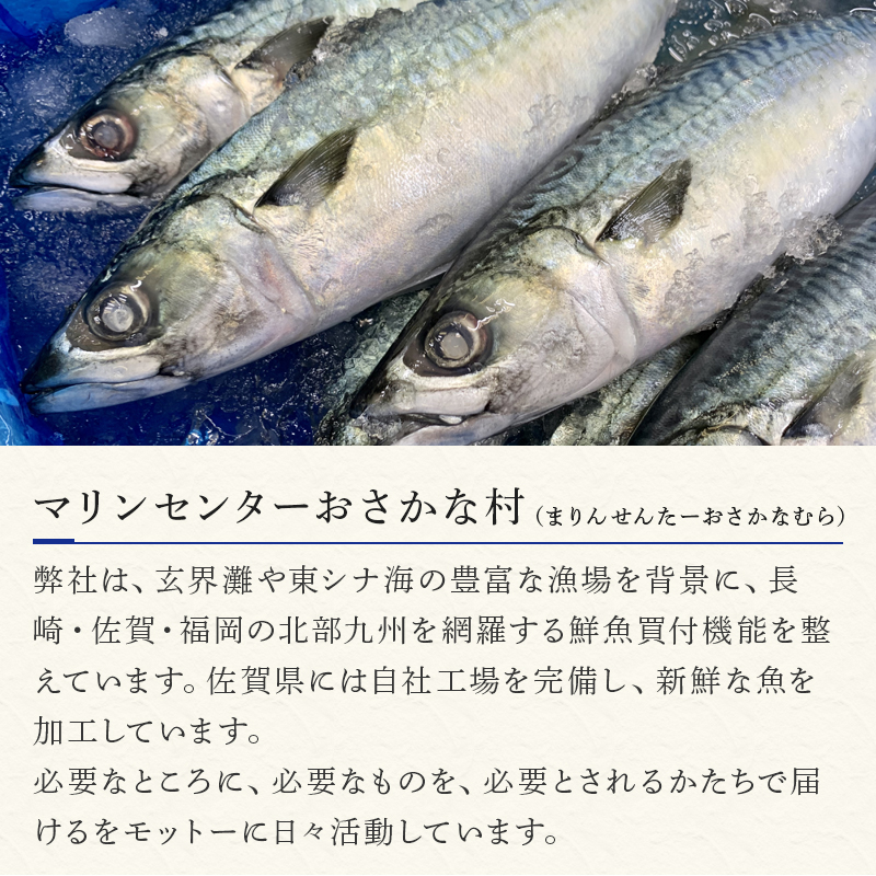 楽天市場 ふるさと納税 トロ〆さば 4枚セット おさかな村 刺身 カルパッチョ 佐賀県唐津市