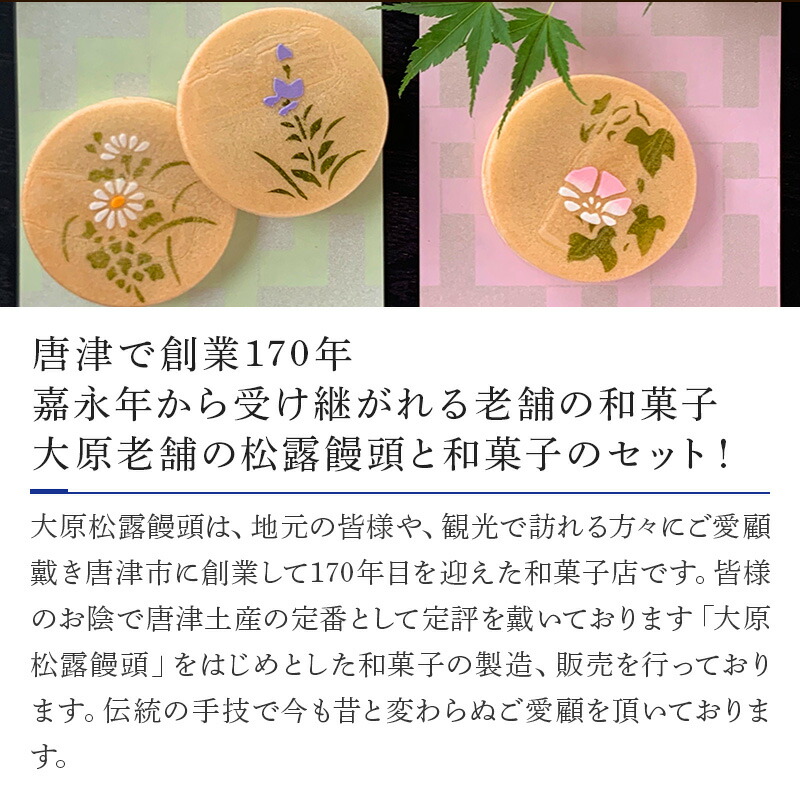 オルファ カイコーン（10コ入り） 238B-10P＼着後レビューでプレゼント有！／