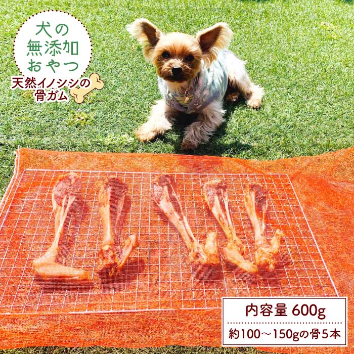 ふるさと納税 犬の無添加おやつ 天然イノシシの骨ガム ペットフード 吉野ヶ里まちづくり会 ドッグフード 犬用品 ペット用品 Fbk005 大型犬のための無添加おやつ 天然イノシシの骨ガム 市販の噛むオモチャやおやつを与えてもわん Beyondresumes Net