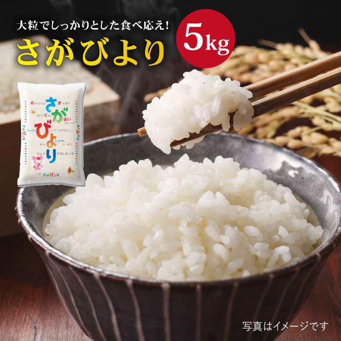 数量は多 楽天市場 ふるさと納税 11年連続特a評価 さがびより 白米5kg Fbm001 佐賀県吉野ヶ里町 正規激安 Lexusoman Com