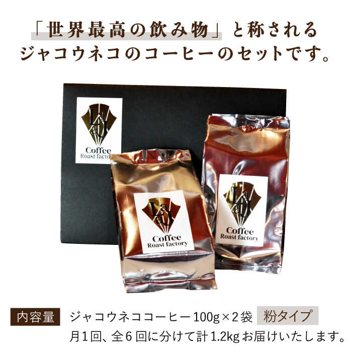 激安大特価 6回定期便 世界コーヒー ジャコウネココーヒー100g 2 0g 6回合計1 2kg Fbr015 満点の Www Purpleforparents Us