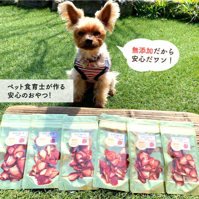 最新情報 楽天市場 ふるさと納税 犬の無添加おやつ お砂糖不使用ドライいちご ペットフード わんこin食堂 Fcg001 佐賀県吉野ヶ里町 期間限定特価 Lexusoman Com 最新情報 楽天市場 ふるさと納税 犬の無添加おやつ お砂糖不使用ドライいちご ペットフード わんこin食堂 Fcg001 佐賀県吉野ヶ里町 期間限定特価 Lexusoman Com