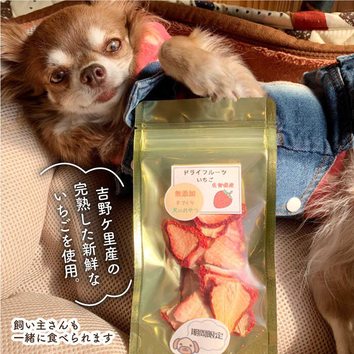 コンビニ受取対応商品 ふるさと納税 犬の無添加おやつ お砂糖不使用ドライいちご ペットフード わんこin食堂 Fcg001 楽天カード分割 Jurnalselulosa Org