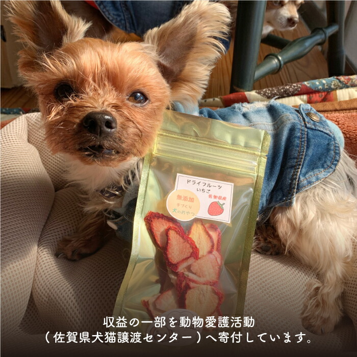 ふるさと納税 犬の無添加おやつ お砂糖不使用 旬のドライフルーツおまかせ6袋 Fcg022 Rvcconst Com ふるさと納税 犬の無添加おやつ お砂糖不使用 旬のドライフルーツおまかせ6袋 Fcg022 Rvcconst Com
