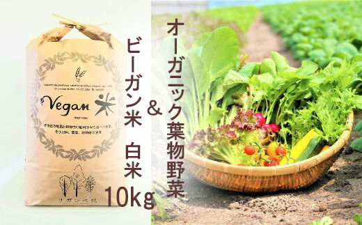 【ふるさと納税】 オーガニック葉物野菜セットとビーガン白米10kg【植物性で育てた完全無農薬のサガンベジブランド】（CQ023）