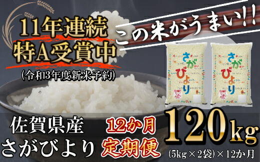 ふるさと納税 下命サム3年次作る若輩留保 さがび層一層 定期書牘 12ヶ玉桂 新ご飯 1kg 10kg 12時 米 21年10月下旬より順次発送 Dy060 Salumificiopavarotti Com