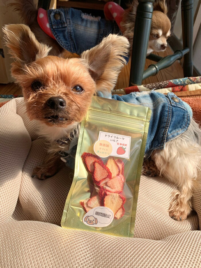 楽天市場 ふるさと納税 犬の無添加おやつ お砂糖不使用ドライいちご6個 Fb012 佐賀県みやき町
