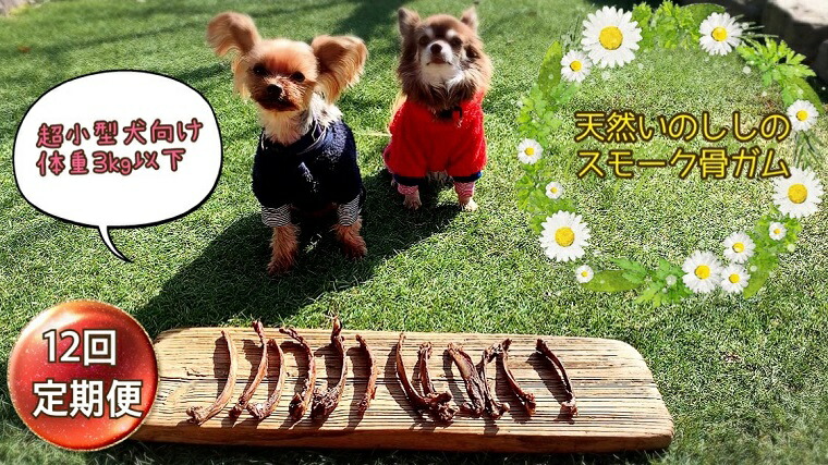 超小型犬向け 天然いのししのスモーク骨ガム100g全12回 Fb079
