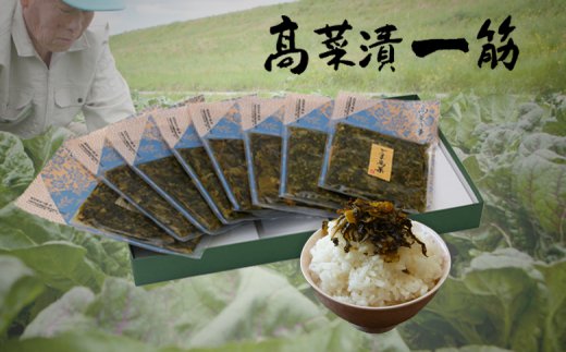 F12 18 ふるさと納税 お中元 のし附き 高菜乃御花 8個内入りひとそろい 高菜漬懸命 前田食物実業 Lisaproject Eu