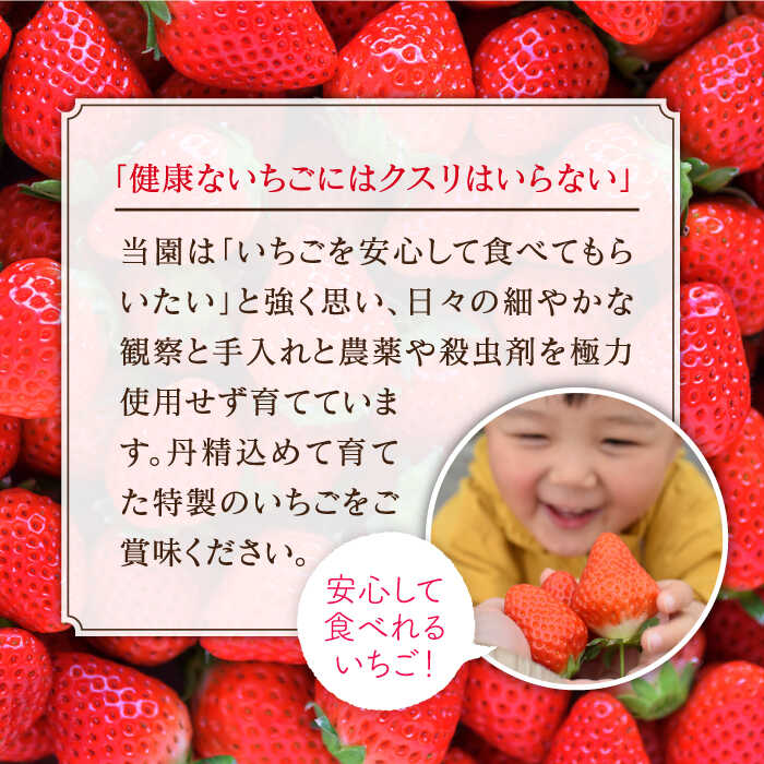 ふるさと納税 いちごをいつでもご家門で 摘みたてこおりいちご4kg 凝結いちご むらおか栽培所 Haf004 Cannes Encheres Com