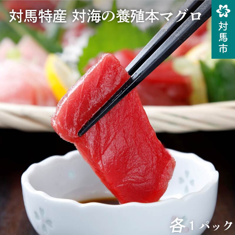 A5-154 対馬特産 対海の養殖本マグロ(赤身1P、中トロ1P、ネギトロ1P)