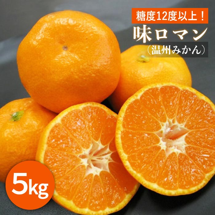 楽天市場 ふるさと納税 数量限定 糖度12度以上 味ロマン 温州みかん 5kg Ja長崎せいひ Eah001 長崎県長与町 楽天市場 ふるさと納税 数量限定 糖度12度以上 味ロマン 温州みかん 5kg Ja長崎せいひ Eah001 長崎県長与町