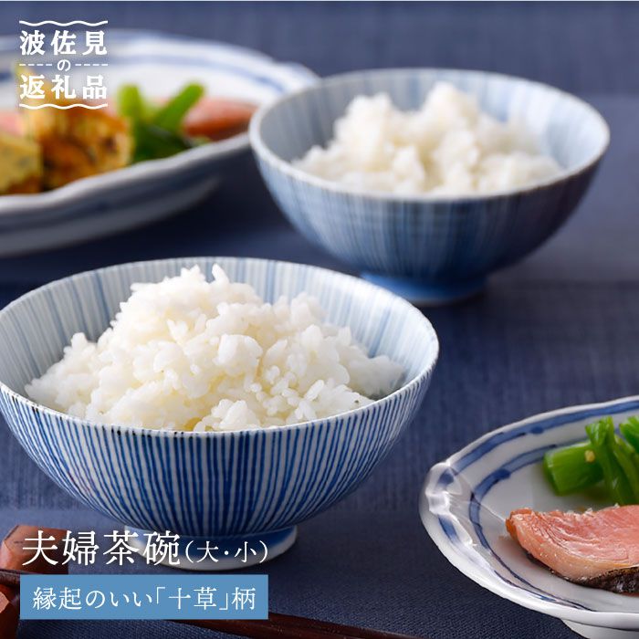 【ふるさと納税】【波佐見焼】十草 夫婦関係 茶碗 表徴の似つかわしい柄つづき物 食器 皿 【大新窯】 [DC27]
