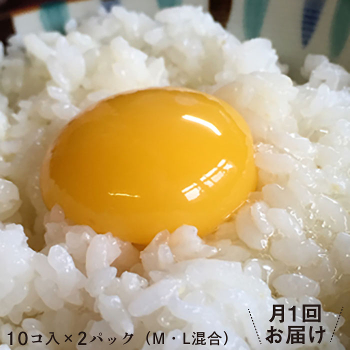 ふるさと納税 卵 アルギニン元気たまご Ea04 食品 鶏卵 個 12回お届け定期便 月1回 浅田峠自然塾 Ea04 長崎県波佐見町