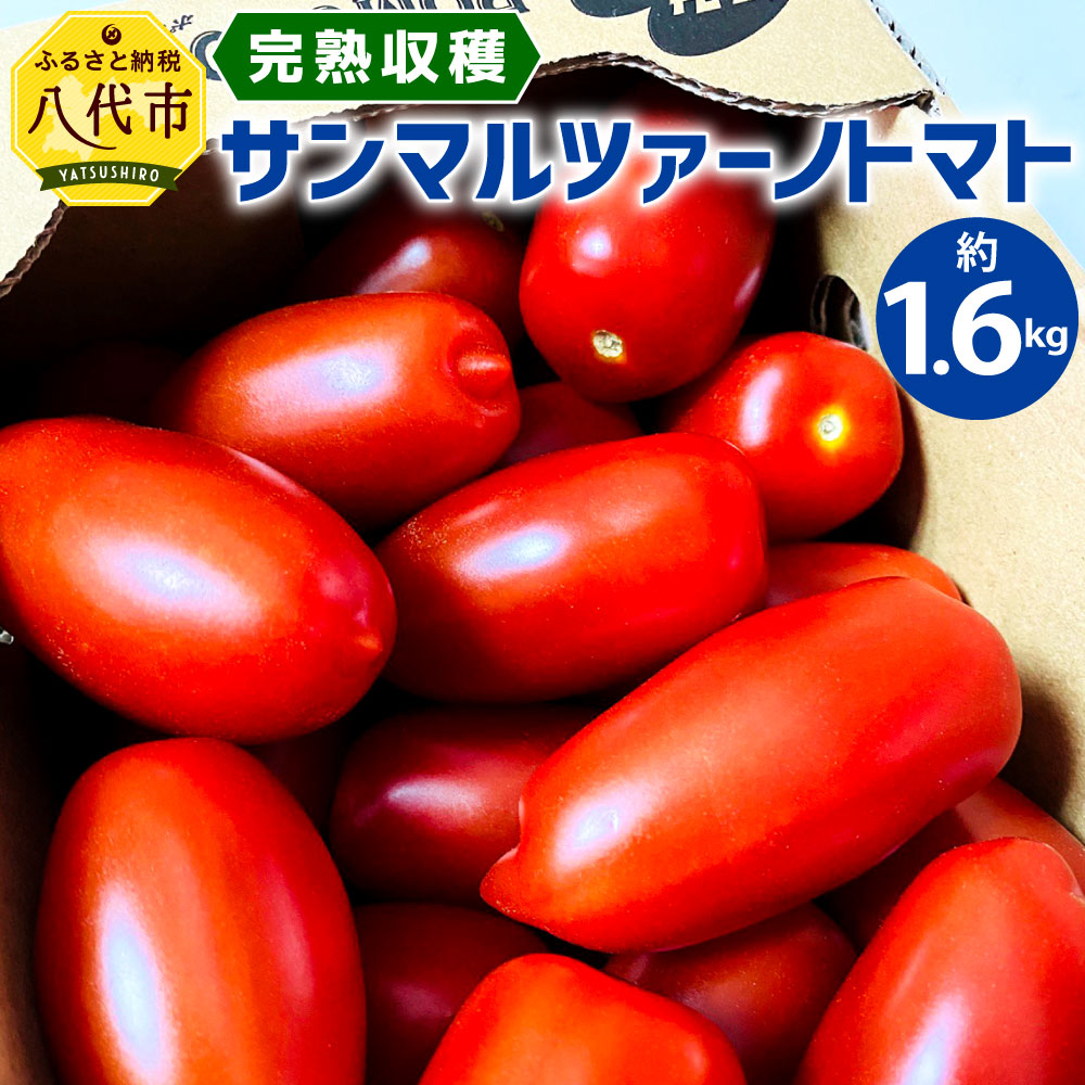 ふるさと納税 完熟収穫 サンマルツァーノトマト サンマルツァーノリゼルバ 合計約1 6kg 約800g 2箱 トマト 野菜 新鮮 旬 国産 熊本県 九州 送料無料 イタリアの伝統的品種サンマルツァーノを日本の食卓向けに改良したトマト 加熱しても煮崩れが少なく甘みが増すのも特徴
