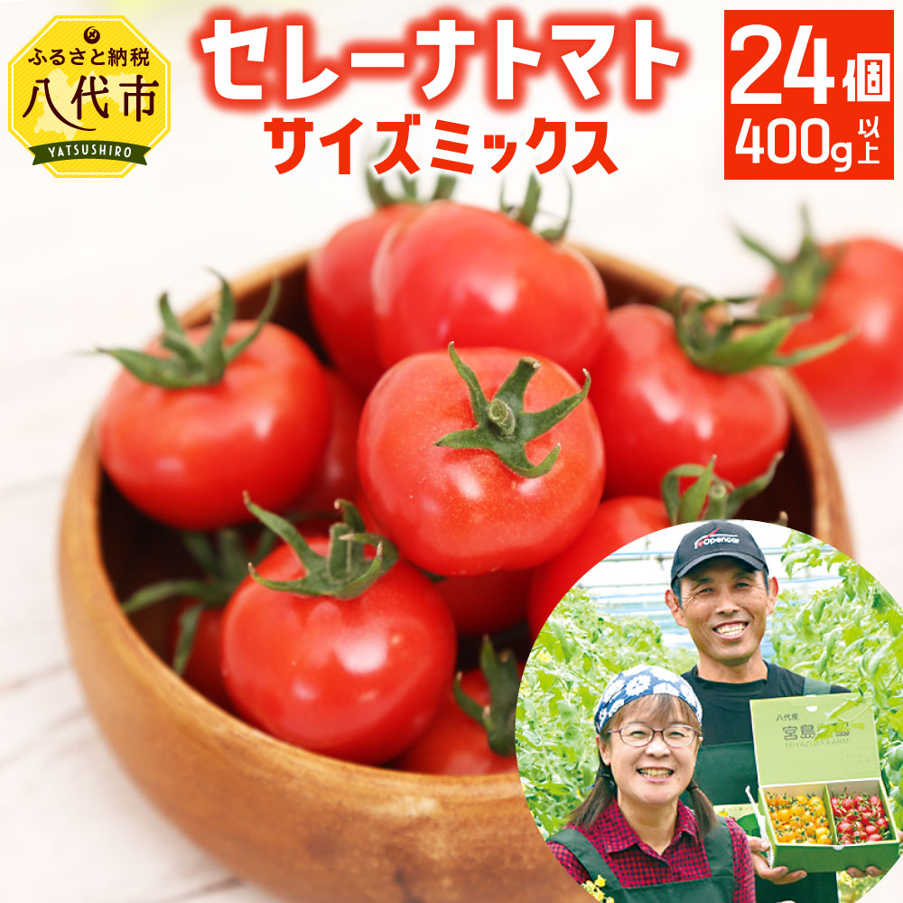 ふるさと納税 先行予約 セレーナトマト サイズミックス 24個 400g以上 宮島農園 トマト 野菜 赤 ミニトマト プチトマト サラダ 生野菜 冷蔵 八代市産 国産 熊本県 九州 送料無料 予約 21年11月下旬より発送予定 Alltherightmovies Com