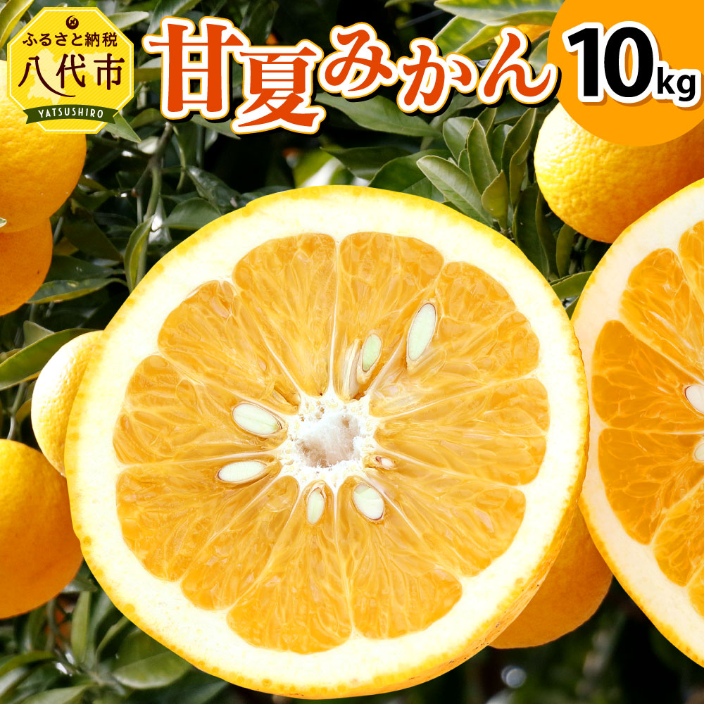 超格安価格 甘夏みかん 10kg 熊本県産 甘夏 柑橘 みかん 蜜柑 フルーツ 果物 くだもの 旬 国産 九州 送料無料 fucoa.cl