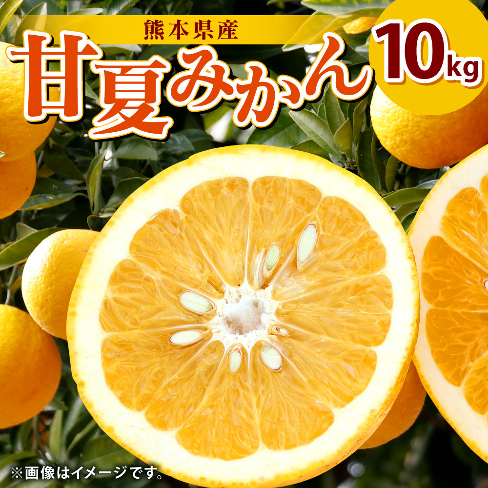 超格安価格 甘夏みかん 10kg 熊本県産 甘夏 柑橘 みかん 蜜柑 フルーツ 果物 くだもの 旬 国産 九州 送料無料 fucoa.cl