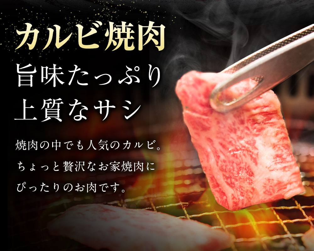 楽天市場 ふるさと納税 黒毛和牛 カルビ焼肉 合計600g 300g 2パック 小分け 等級 A5等級 焼肉用 カルビ 牛肉 和牛 お肉 国産 冷凍 送料無料 熊本県人吉市